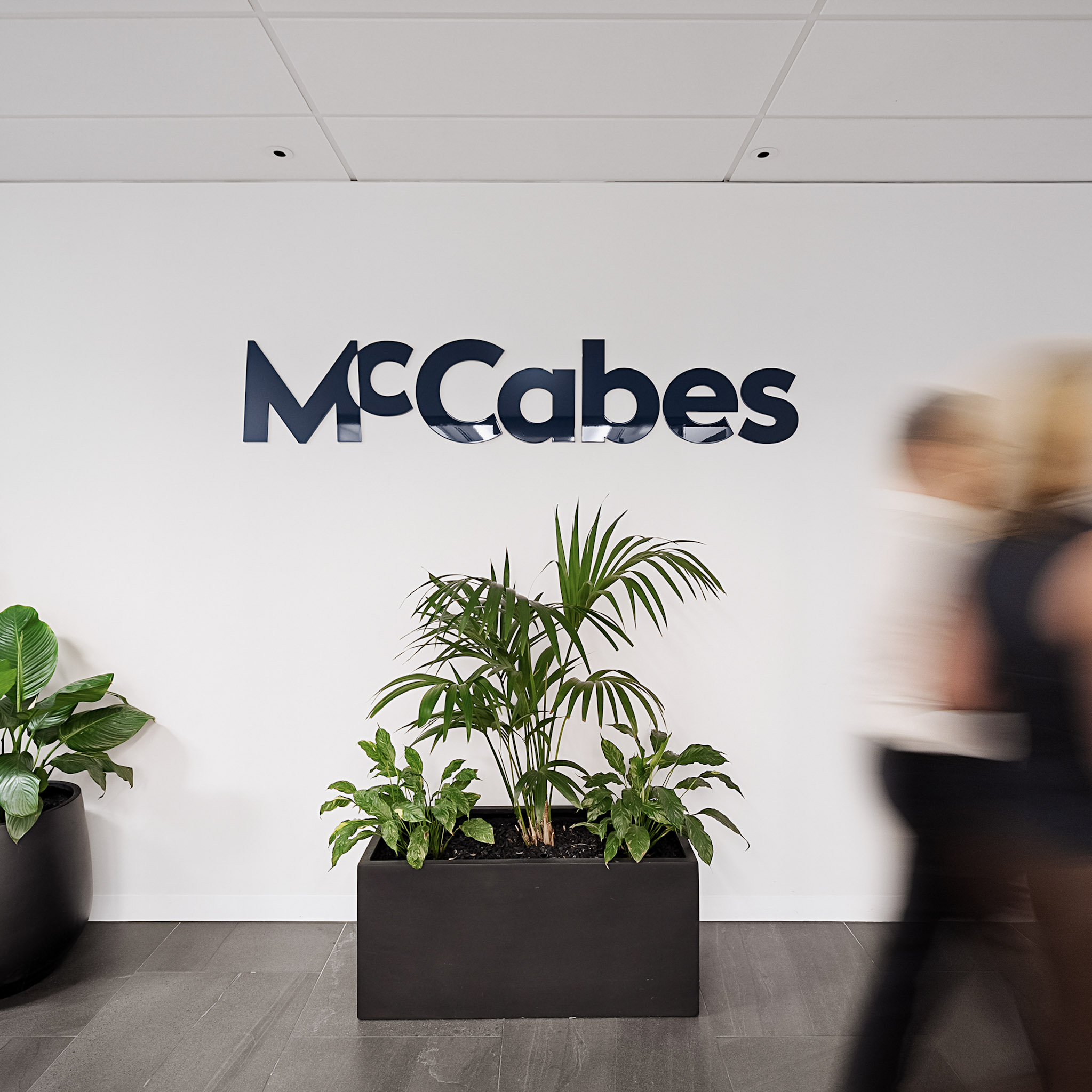McCabes